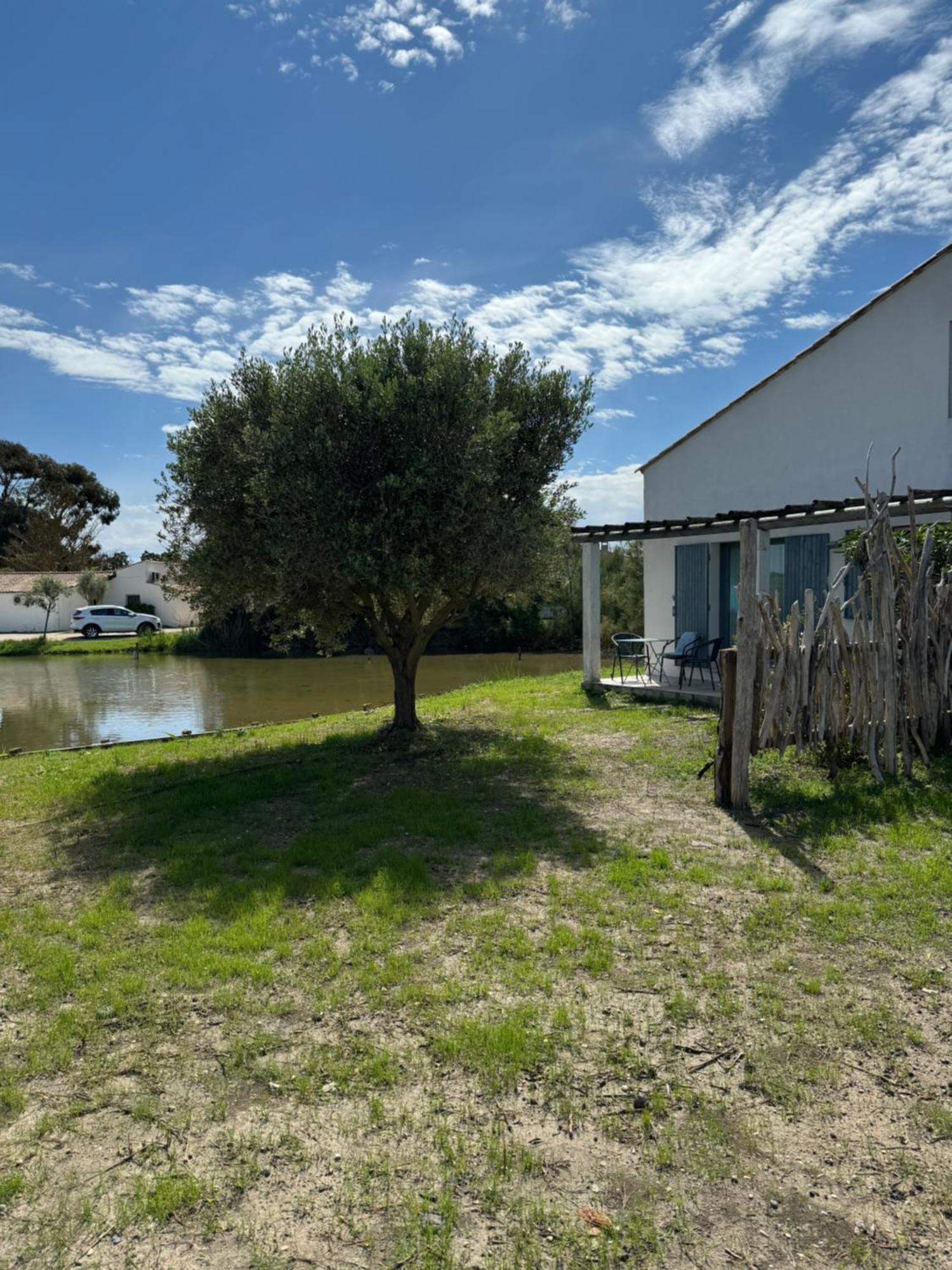 Le Mas Des Sagnes Saintes-Maries-de-la-Mer Exteriér fotografie