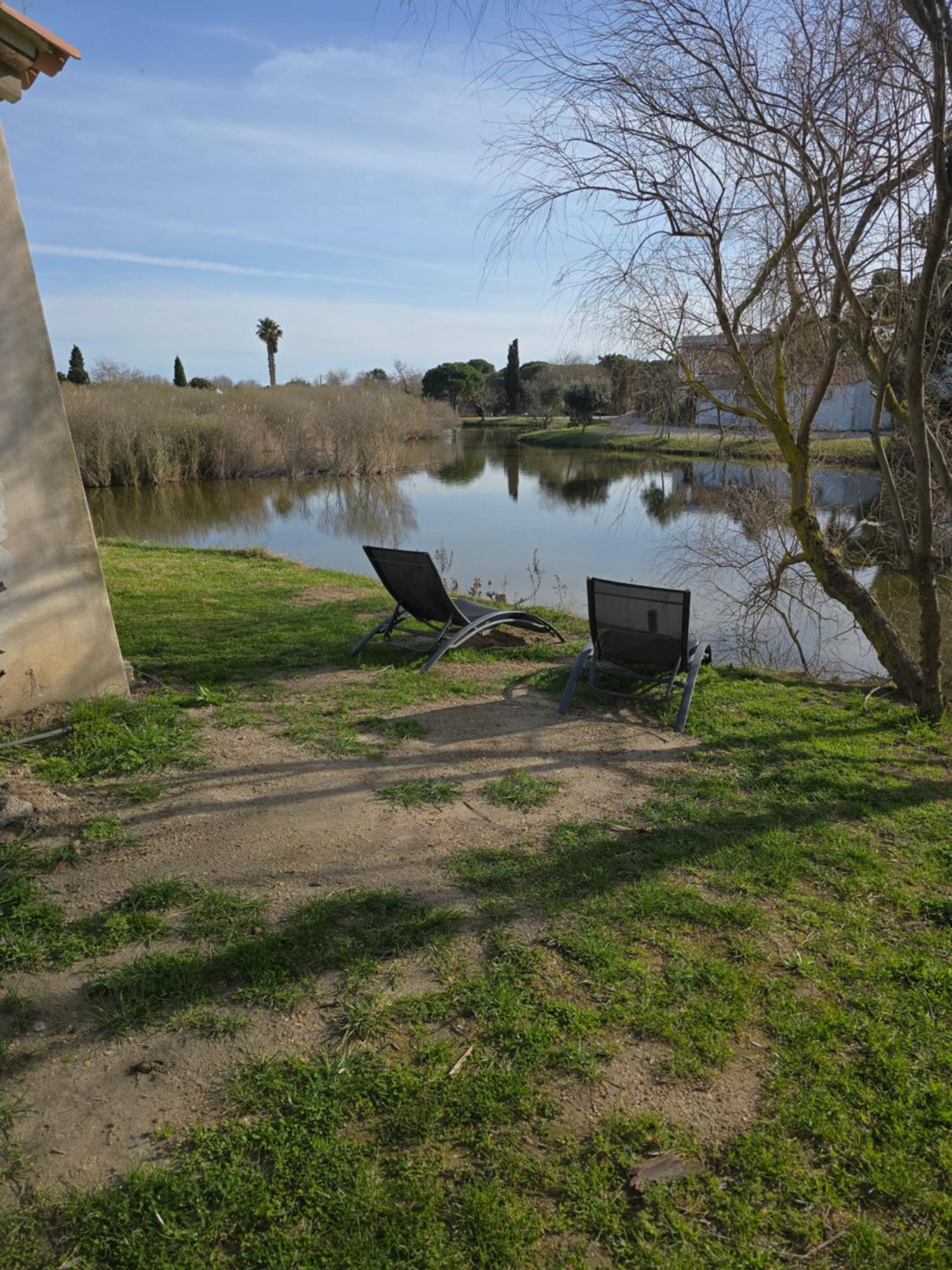 Le Mas Des Sagnes Saintes-Maries-de-la-Mer Exteriér fotografie